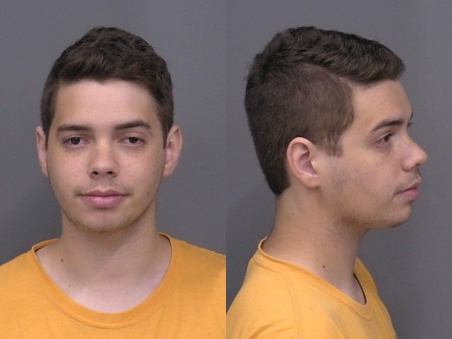 Delaney,Joshua Mikael mugshot