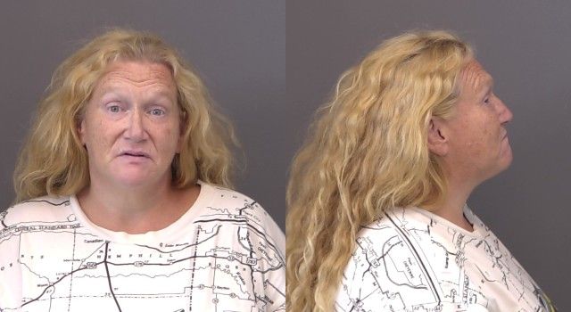 Purcella,DeeDee Louise mugshot