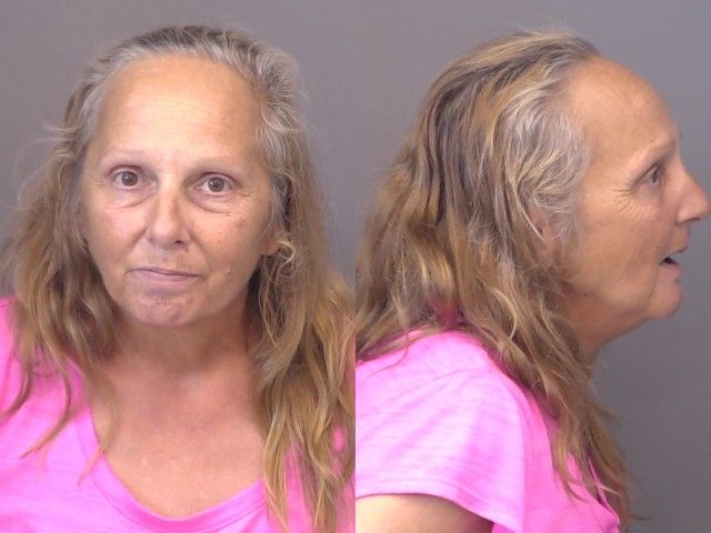 Rutz,Michelle Renee mugshot