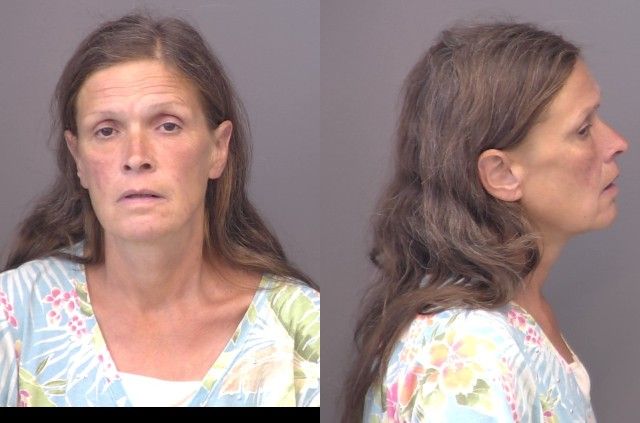 Saulpaugh,Jennifer Lynn mugshot