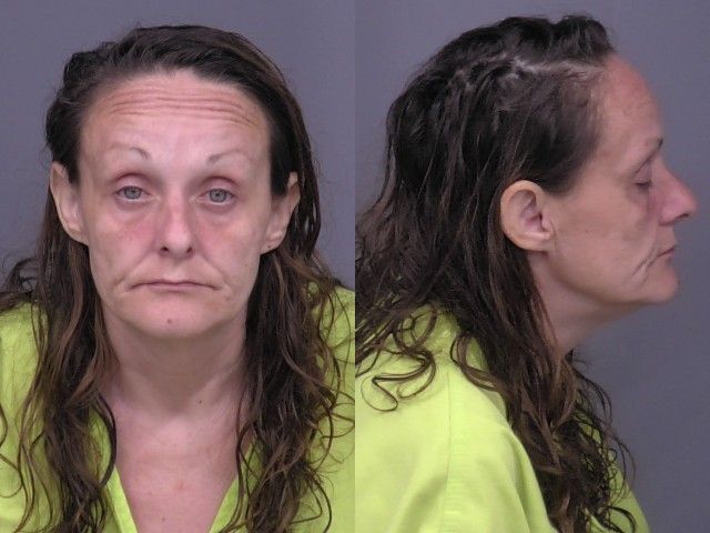 Hoffschneider,Nicole Lynn mugshot