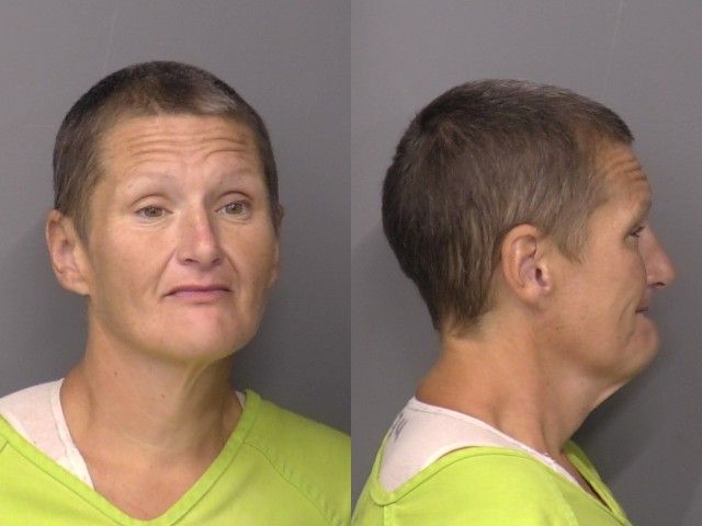 Bryk,Alisha Nicole mugshot